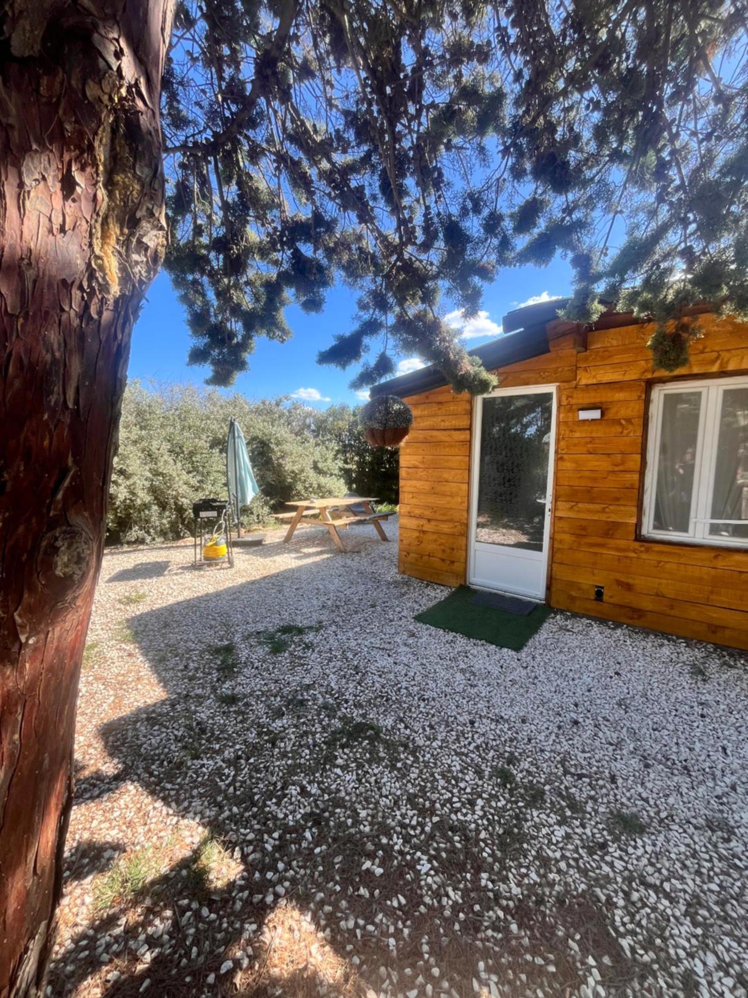 Location T3 Jardin Avec Piscine Βίλα Mèze Εξωτερικό φωτογραφία